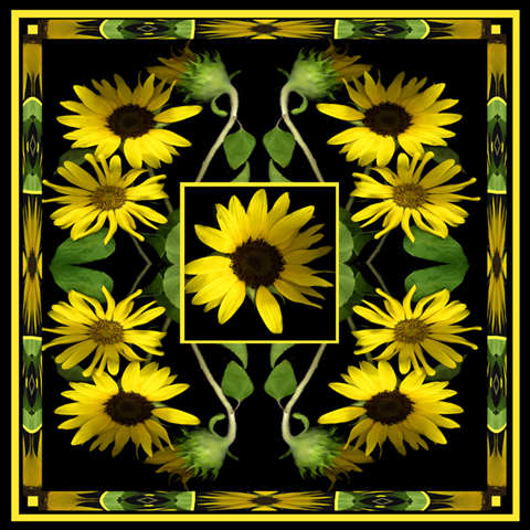 sunflowermandela.jpg