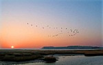North Carolina and Alaska Coastal Photograph