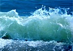 North Carolina and Alaska Coastal Photograph
